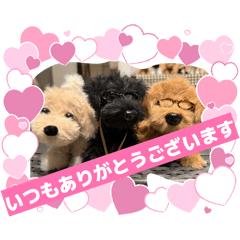 hana_20260712224818