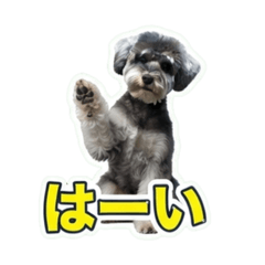 hanahana_20260716111832