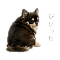 momo_20260716151528