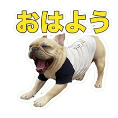 mayu_20260716153444