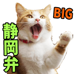 静岡弁☆にゃんこ【BIG】