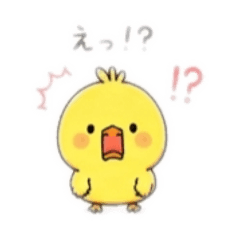 yuka_20260716085536