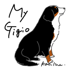 My Gigio