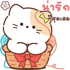 เหมียวสุดคิ้วท์ แบบบิ๊กๆ มีเสียงแล้วน้า