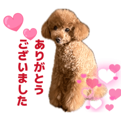 hana_20260717120409