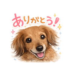 MAyU_20260717095414