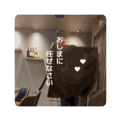 ogawa_20260716215836