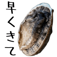 おしゃべりな貝