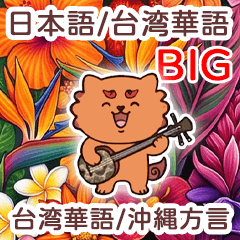 ウチナーンチュの日常会話やいびん6-BIG