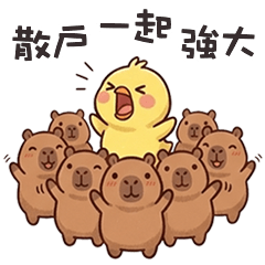 cute tiny capybara11