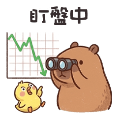 cute tiny capybara11L