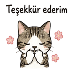 Turkish Work Stickers - Cute Cat
