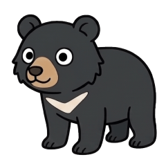 Japanese Animals:  Forest Life