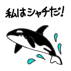 無傷 集団 アミューズメント ラインスタンプ シャチ Kogepanda Jp 無傷 集団 アミューズメント ラインスタンプ シャチ Kogepanda Jp