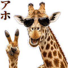 dggssgsdggsdg