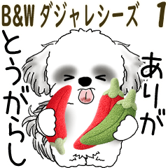 動くB&Wのシーズー犬 2026「ダジャレ」1
