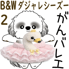 Moving B&W Shih tzu 2026 (Pun) 2