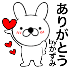 Name rabbit kazumi