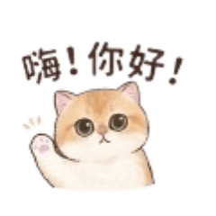 淑芸貼圖07