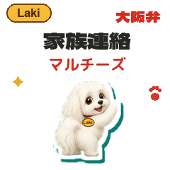 Maltese Osaka Dog Care