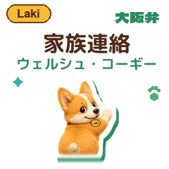 Pembroke Corgi Osaka Dog Care