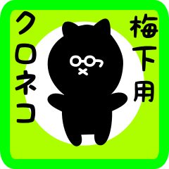 black cat sticker for umeshita