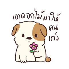 Yoi l Encourage you