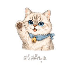 Heng Heng_20260712171445