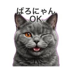 saya_20260716223242