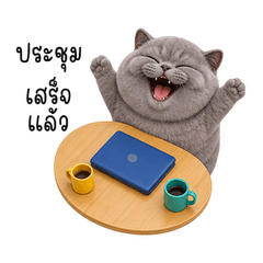 Bubu Boss, Gray Office Cat