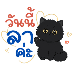 Cute Black Cat Office Work