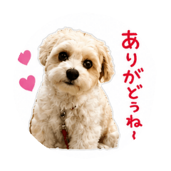 KEN_20260717133754