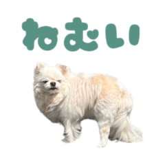 Hero_20260717143714