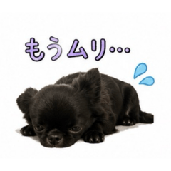 Miyu_20260717133848