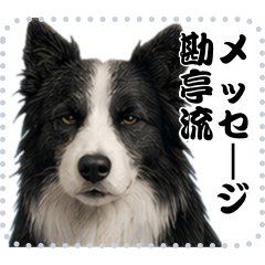 AI メッセージ スタンプ 17