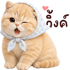 ❤️น้องแมวส้มตุ๊ต๊ะน่ารัก2❤️