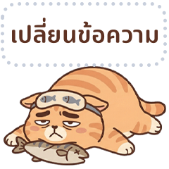 น้องลูกพลับ: แมวส้มหน้ากวน (ข้อความ)