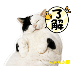 kodama_nyantaro