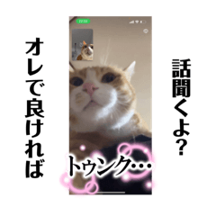 yuka_20260717153829