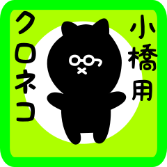 black cat sticker for kohashi