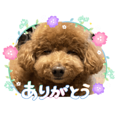 hana_20260717162954