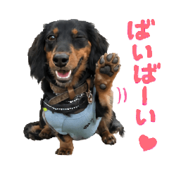 YUKA_20260717183648