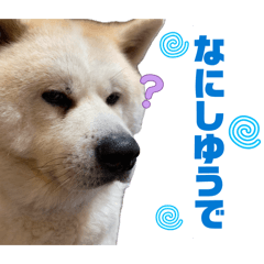 momo_20260717215626