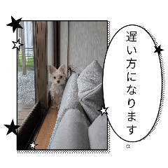 andre_20260718004749