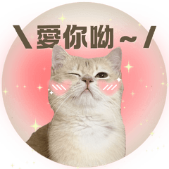 mantou.yz.diary