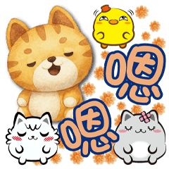 《超歡樂日常》★椪柑★