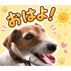 hana_20260717211251