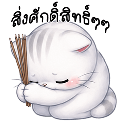 ❤️แมวสลิด น่ารัก❤️