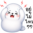 แมวน้ำ