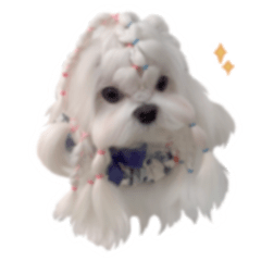 qmochi_0307: charming maltese prince
